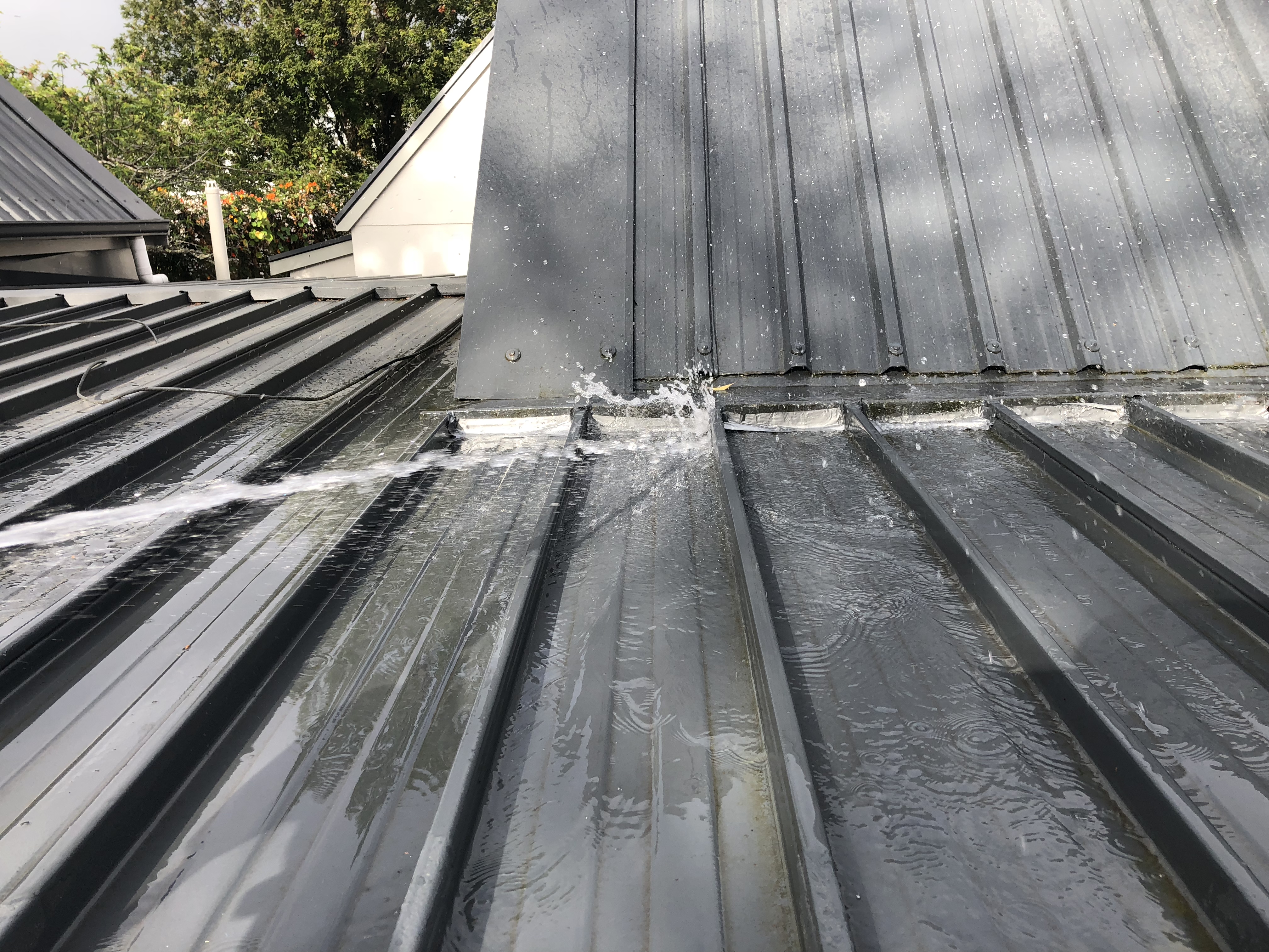 From Leaks and Worry to Light, Comfort and Protection